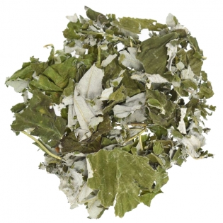 Лист малины лесной