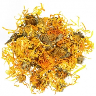 Календула обыкновенная цвет