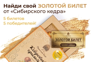 Золотой билет от Сибирского кедра