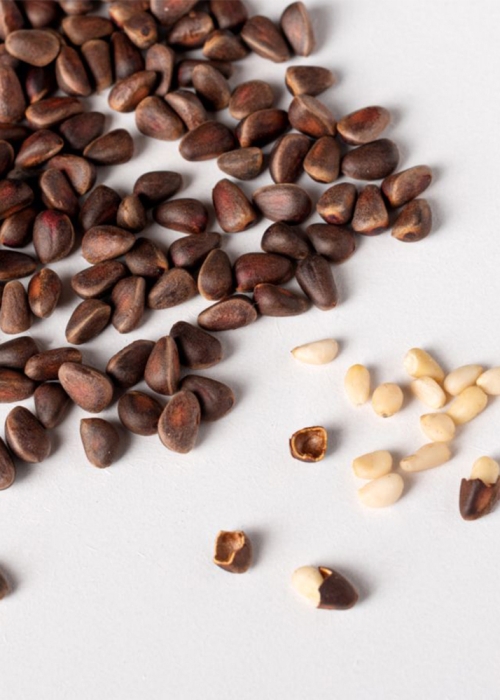 ★ Москва ★ Орех кедровый в скорлупе, 900 г