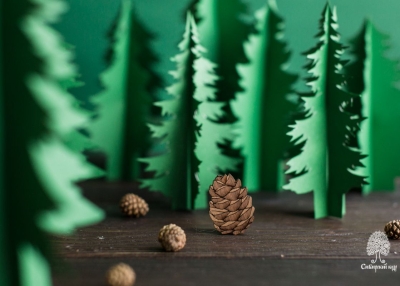 Деревянная брошь «Шишка»