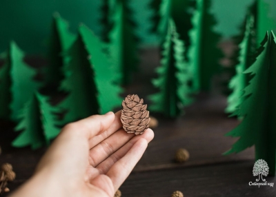 Деревянная брошь «Шишка»