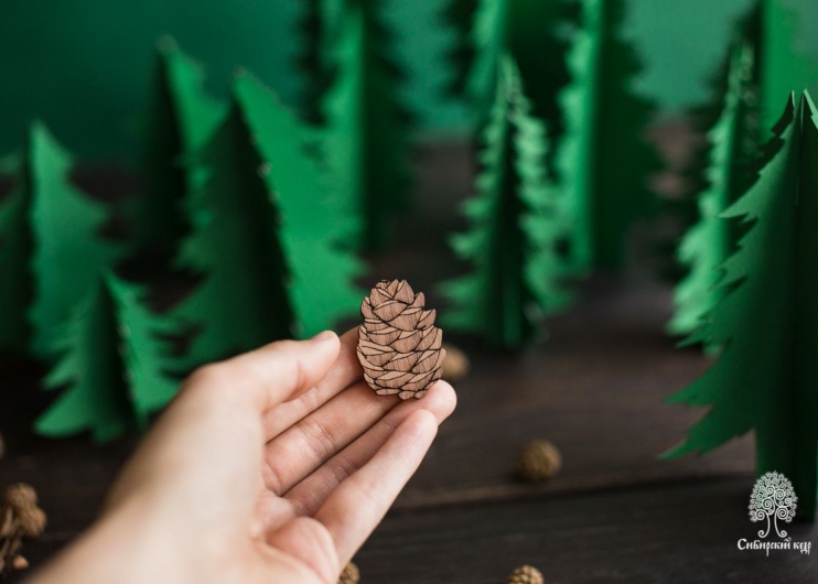 Деревянная брошь «Шишка»