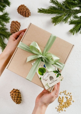 Подарочный набор «Сибирское здоровье», 390 г