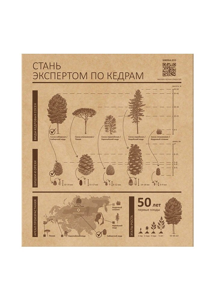 Кедровый грильяж ассорти, 120 г — черника, клюква, облепиха