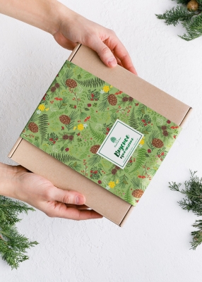 Подарочный набор «Таёжный сбор», 720 г