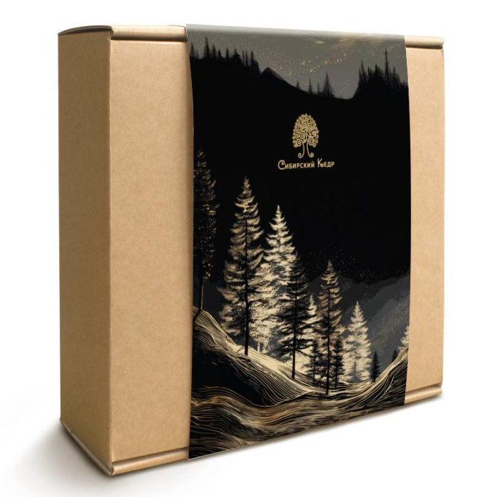 Подарочная обложка «‎Ночное сияние»‎