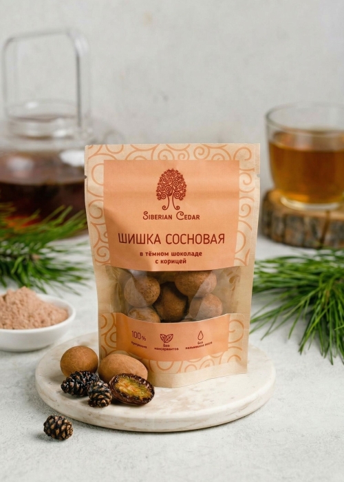 Сосновая шишка с корицей в тёмном шоколаде, 60 г