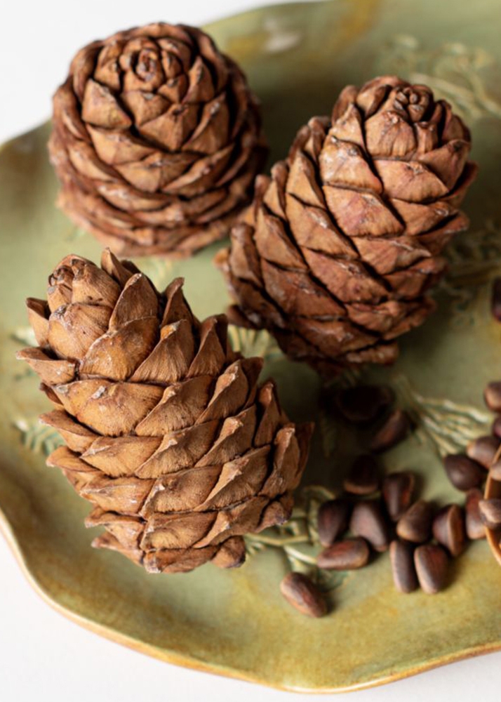 Кедровая шишка, 40 г